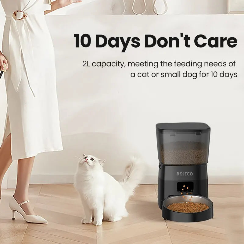 Smart Automatic Cat Feeder