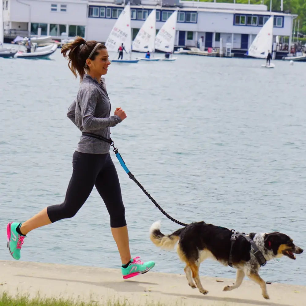 Hands Free Dog Leash