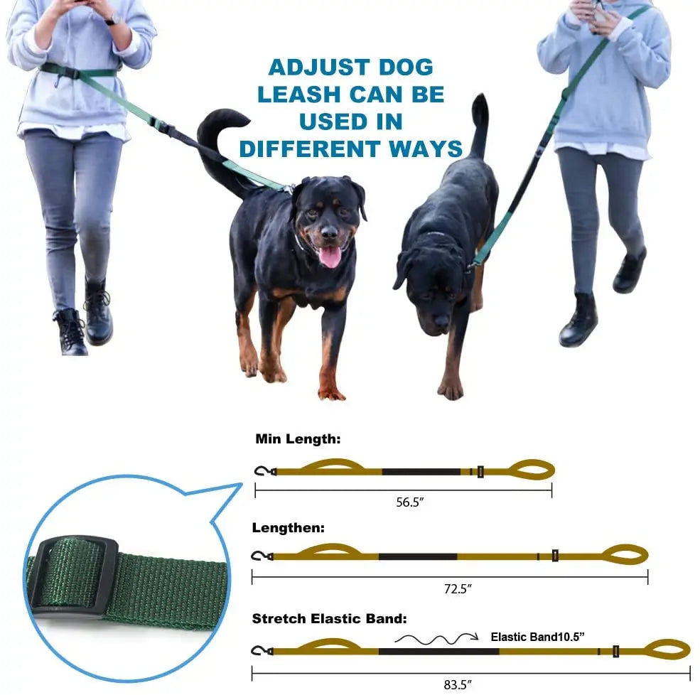 Hands Free Dog Leash