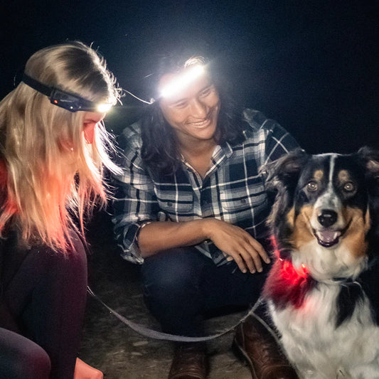 Dog Walking Headlamp